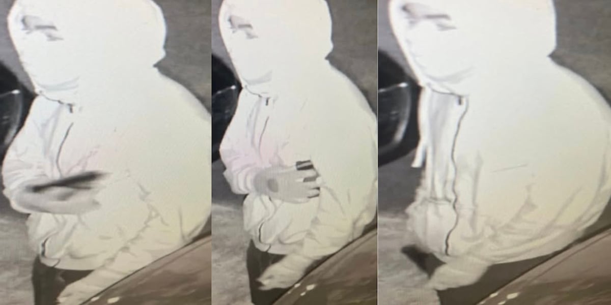 Suspected burglar wanted in Baton Rouge