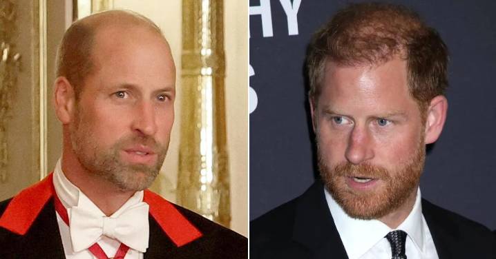Prince William to Strip Brother Prince Harry and All Other Non-Working Royals of Their HRH, Princely Titles When He Becomes King