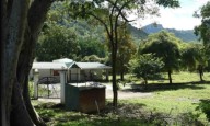 Crackdown on illegal homestays, cottages intensified in TN's Nilgiris