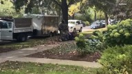 Border Patrol agents forcefully take down landscaper near Monroe Street, Sherman Avenue in Evanston
