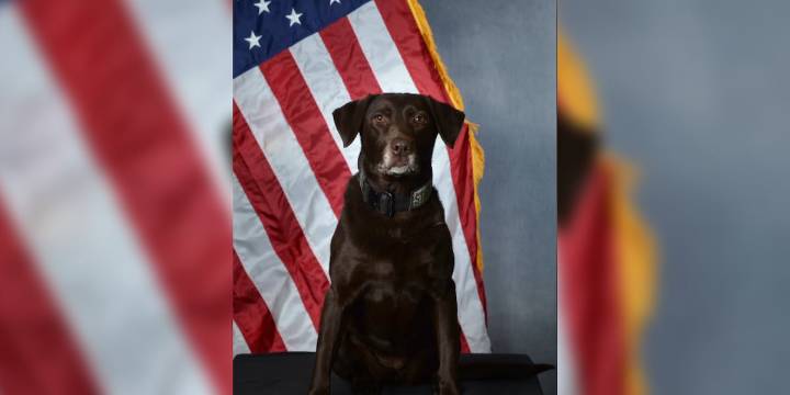 Twin Falls K-9 retires after eight years with Idaho State Police