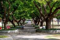 Student reports alleged sex assault at UH