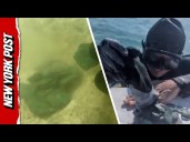 $1 MILLION In Sunken Treasure Discovered