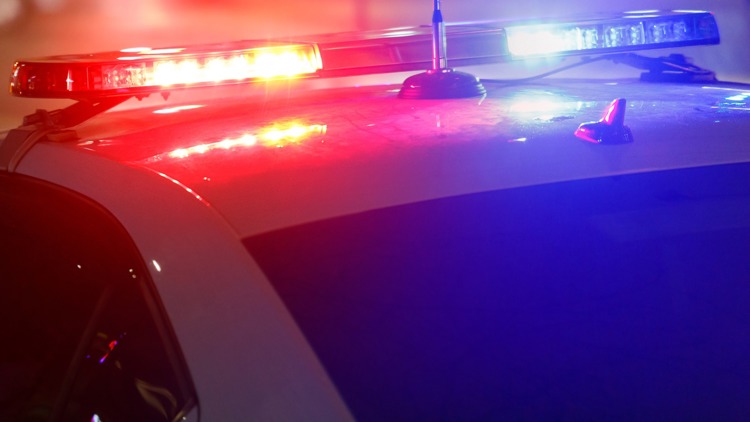 US police warn against 'AI Homeless Man' prank