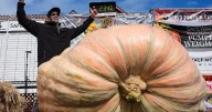 Calabaza de 1,064 kilos gana concurso en EU
