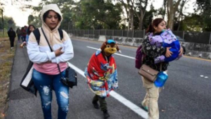 Number Of Migrants Crossing US-Mexico Border Lowest In Over 50 Years: Data