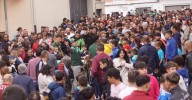 Encierro, capa y minibueyes: Alba de Tormes llena su domingo de fiestas de actividades taurinas
