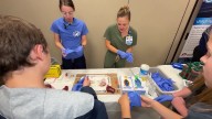 Nearly 400 students attend healthcare career expo at Portsmouth Regional Hospital