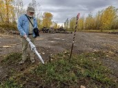 Trudeau airport authority admits its contractor razed a meadow, ignoring conservation measures
