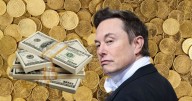 Elon Musk se convierte en la primera persona en alcanzar los casi 500 mil millones de dólares en patrimonio, asegura Forbes