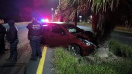 Pierde el control y choca con palmera en Tequisquiapan