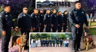 Héroes de cuatro patas: los 17 ‘perros policía’ que entrenan para cuidar y proteger Sonora