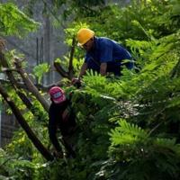 Melissa strengthens into hurricane, cutting slow path to Jamaica