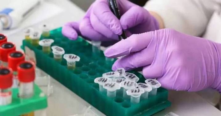 Legislatura: piden al gobierno provincial que informe sobre la aplicación del narcotest