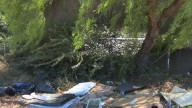 Anuncian plan para combatir la indigencia en Chula Vista