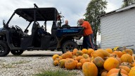 Seeds of second chances: Inmates grow hope through pumpkin patch program