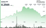 DOGE Rejected at $0.26, Slides 2% as Profit