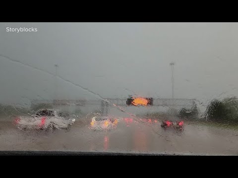 Wet leaves pose triple threat to drivers, experts warn