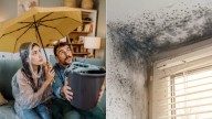 Cómo proteger su hogar de las goteras y el moho en temporada de lluvias sin remodelaciones costosas, según expertos