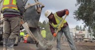 PG&E undergrounds 1,000 miles of power lines along North Bay coast