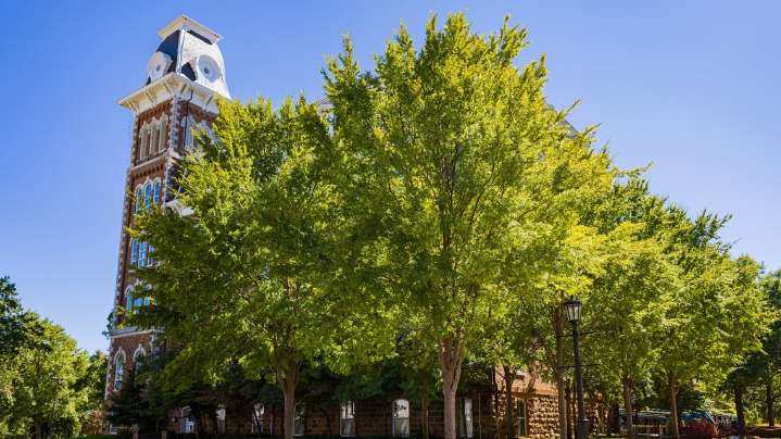 U of A preparing to hang Ten Commandments posters in classrooms