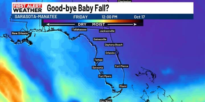 So long ‘baby fall’. Humidity’s plotting a comeback