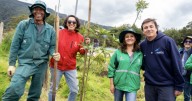 Lagos de Torca en Bogotá se llena de vida con la plantación de 100 nuevos árboles