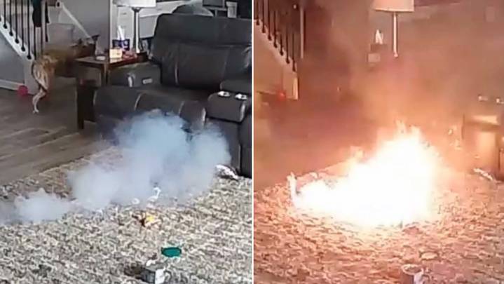 Perro incendia una casa tras morder una batería de litio