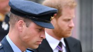 La conmovedora reacción de William y Harry al divorcio de Diana y Carlos, según una autora real