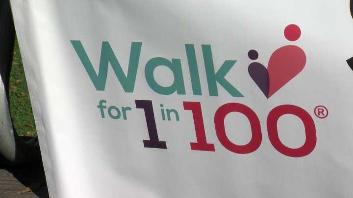 Dozens pack Greenfield Park for first local "Walk for 1 in 100" event to raise awareness for congenital heart disease