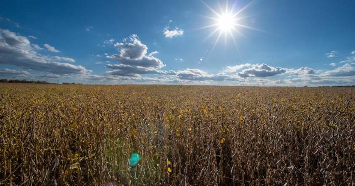 Senado aprueba resolución para revertir aranceles de Trump en todo el mundo; no entraría en vigor