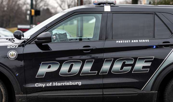 Woman charged after pit bull found dead in Harrisburg basement