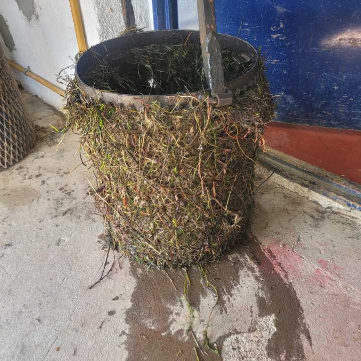 Servicios Públicos trabaja para garantizar la calidad del agua ante el aumento del caudal del río