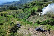 Incineran 73.5 MDP en plantas de marihuana en Tequila