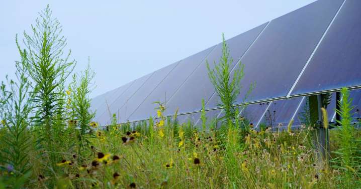 Ohio Supreme Court hears case against approval of state's largest solar project