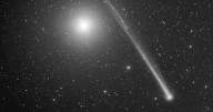 Look up! A rare cosmic visitor is getting brighter in our evening sky