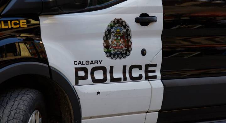 Calgary police searching for truck involved in pedestrian hit