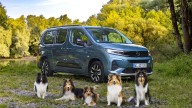 Opel Combo Electric: Ideal para viajar con tu mascota