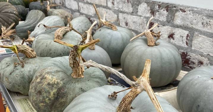 Celebration of the season at one of Devon’s most historic estates
