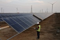 Trump tries to kill renewables — and accidentally sparks green energy boom: report