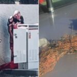 Silent Witness, CenturyLink ask for public’s help with increased copper thefts around Valley