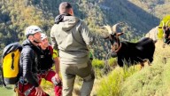 Final feliz en Somiedo: rescatan las cabras de Iván Díaz tras hacerse viral su historia en redes