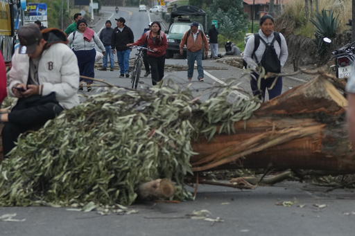Marchas a favor y en contra del gobierno de Noboa coinciden en Quito, en medio de paro indígena