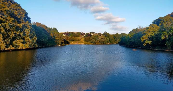 'Haunted' Plymouth park to be transformed into spooky Halloween zone