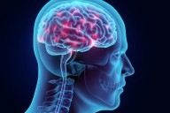 Científicos descubren que el cerebro de la mujer cambia físicamente durante la menstruación