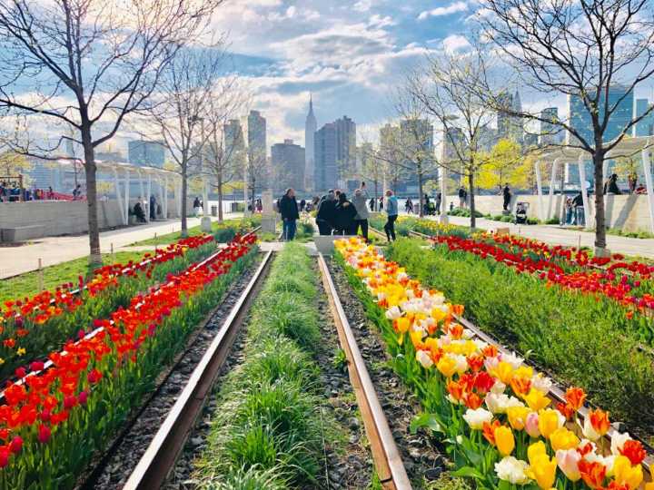 HPPC to host 11th annual ‘LIC Bulbfest’ this Saturday