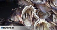 ¿De dónde viene la famosa historia del bacalao y el pez gato?