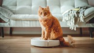 Why is my robot vacuum going in circles? Experts reveal the reasons, and how to fix it