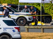 Convicted killer pleads guilty to separate South Surrey manslaughter