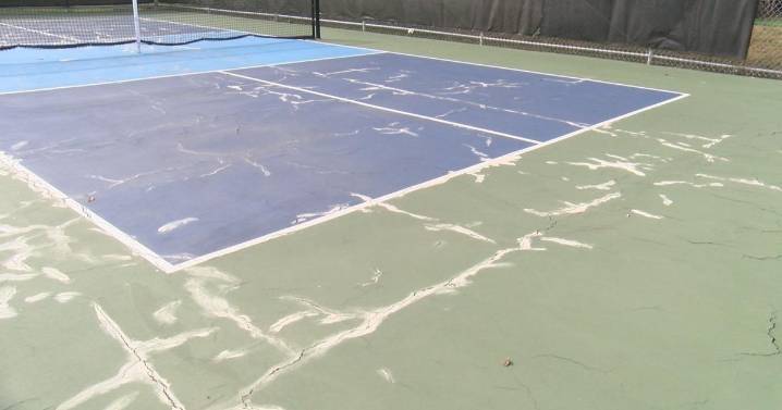 Cook Park is still fundraising for new pickleball courts